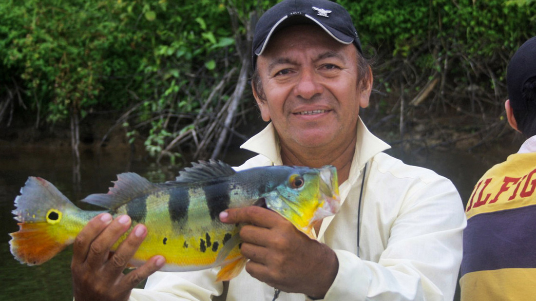 Iquitos Fishing Tours  Peacock Bass Fishing Charter & Excursions